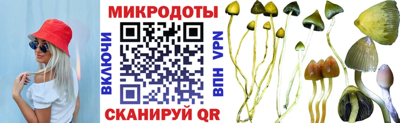 Галлюциногенные грибы GOLDEN TEACHER  Уссурийск 